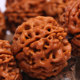 ສາຍແຂນ Rudraksha ຫົກກີບດອກ Nepalese ແທ້ຈິງກັບ dwarf pile ແລະຊີ້ນເຕັມ 20mm ສາຍແຂນຫນັງສີແດງແລະສີເຫຼືອງສໍາລັບຜູ້ຊາຍ