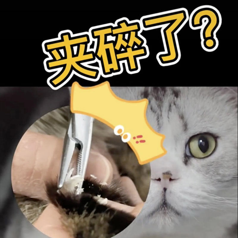 Cat nail clipper cat broken nail clipper nail clipper tweezers artifact pet plucking pliers shell nail clipper veterinary