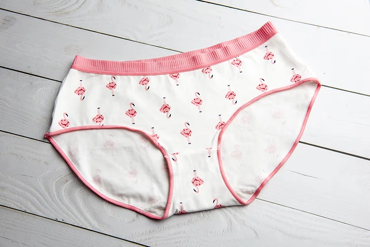 2 chiếc túi là đồ lót nữ đẹp 2018 mới thắt lưng cotton hoạt hình dễ thương 100 chiếc quần cotton
