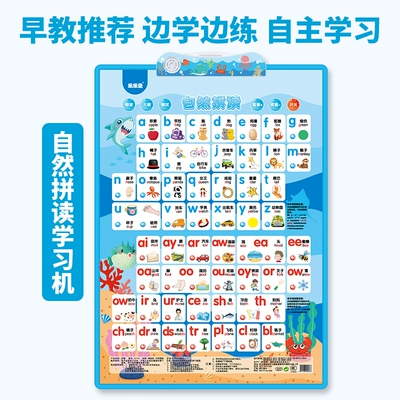 âm thanh bảng chữ cái dán tường biểu đồ tường ngữ âm Trung Quốc một năm học phụ âm nguyên âm chính tả thẻ đào tạo vật Đồ chơi giáo dục