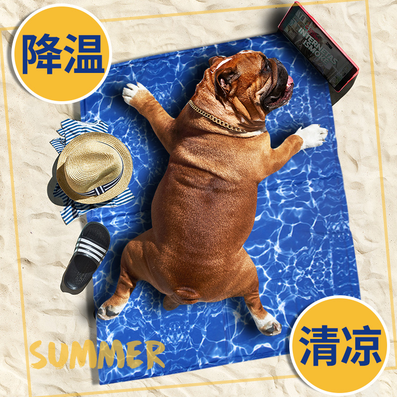 Pet Ice Mat Dog Mat Summer Cool Mat Sleeping Mat Sleeping Mat Large Dog Bite Waterproof Cooling Pet Mat Dog Nest Cushion
