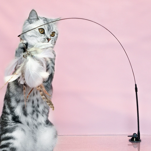 Стальная проволка, сменный колокольчик с колокольчиком, игрушка, кот, избавление от скуки