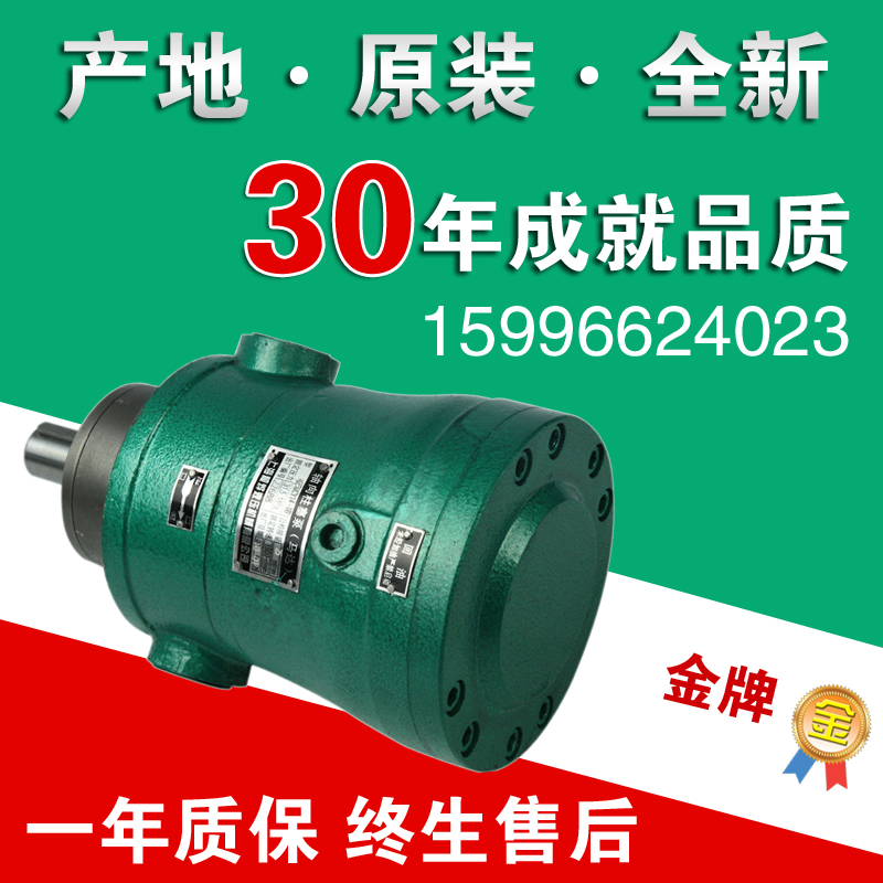 2.5MCY10MCY14-1B 25MCY 63MCY 80MCY 160MCY Plunger Pump 40MCY5mcy