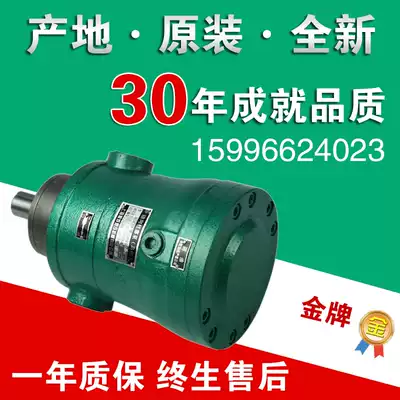 2 5MCY10MCY14-1B 25MCY 63MCY 80MCY 160MCY Piston pump 40MCY5mcy