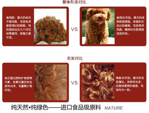 Tất cả các con chó Tỷ lệ búp bê Xiongbomeiji Husky cơ bản thức ăn cho chó Teddy cỡ lớn và trung bình 500g - Gói Singular