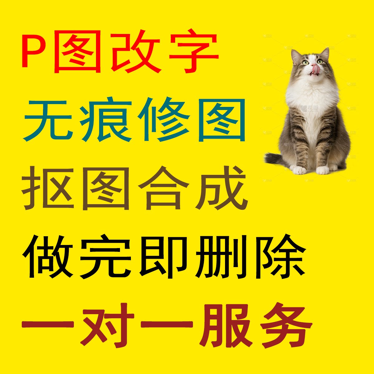 真图