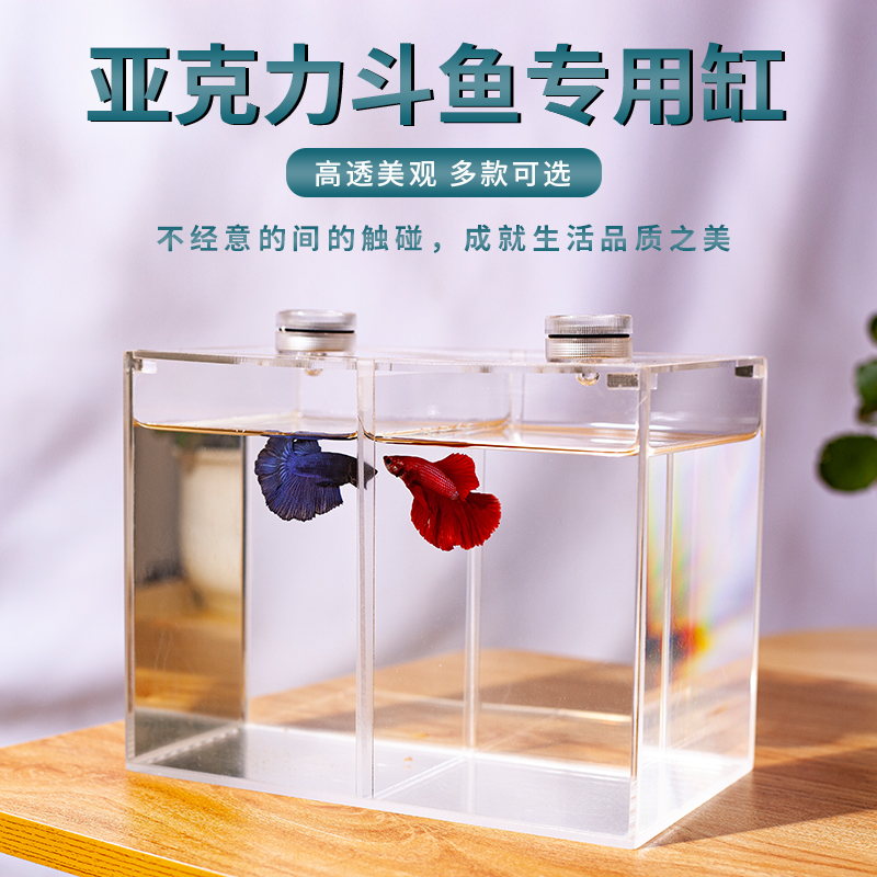 Desktop small betta fish tank acrylic Thailand betta fish double grid high-definition living room office creative ornamental small fish tank
