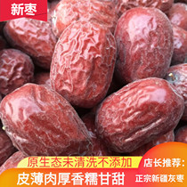 New jujube premium Xinjiang Ruoqiang red jujube building blue gray jujube 2500g uncleaned original ecological hanging dry jujube specialty 5 pounds