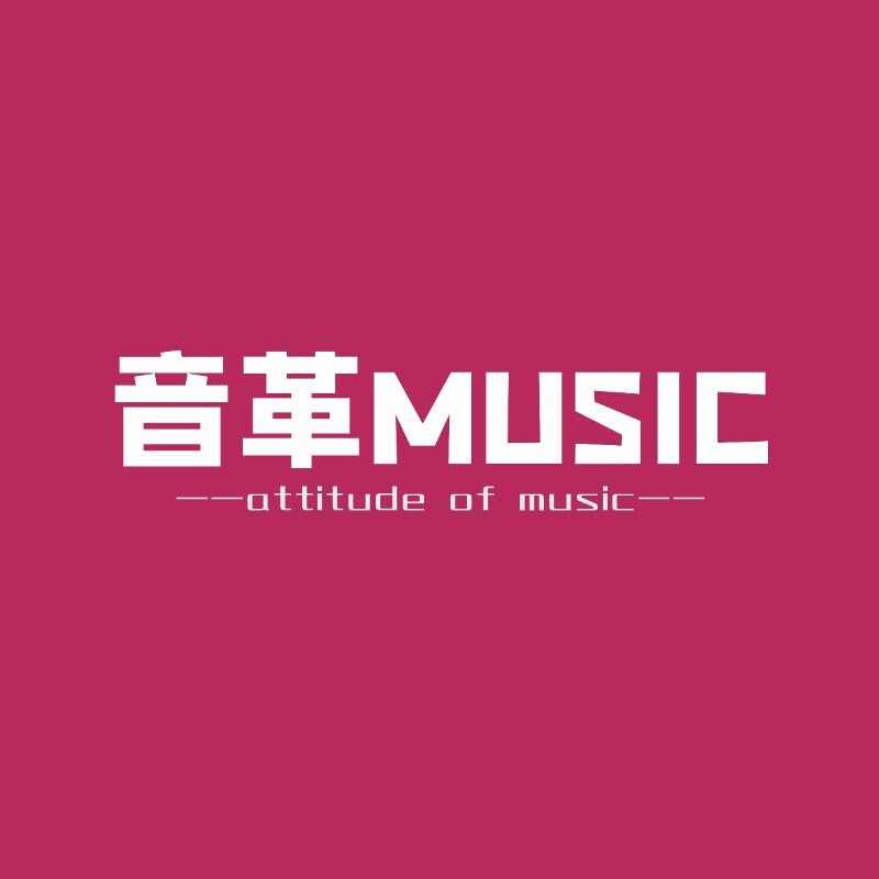 音革乐器店
