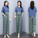 Tencel denim suit women's thin section 2022 summer new casual fashion age-reducing drape wide-leg pants two-piece set