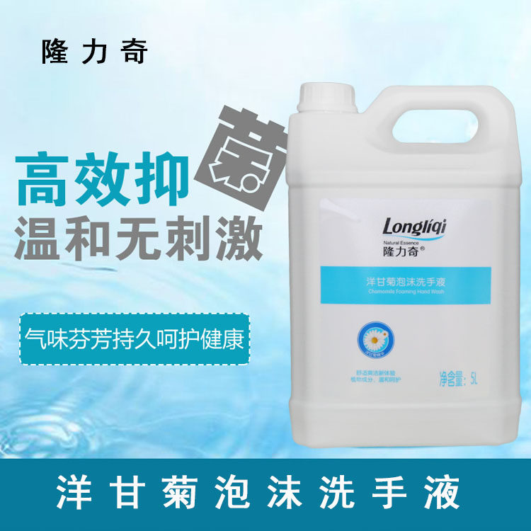 Lonricki Foam Handwashing Liquid Barrel Loading 5L Hotel Guest House Guest house Hotels Bacteriostatic and Disinfectant Disinfectant