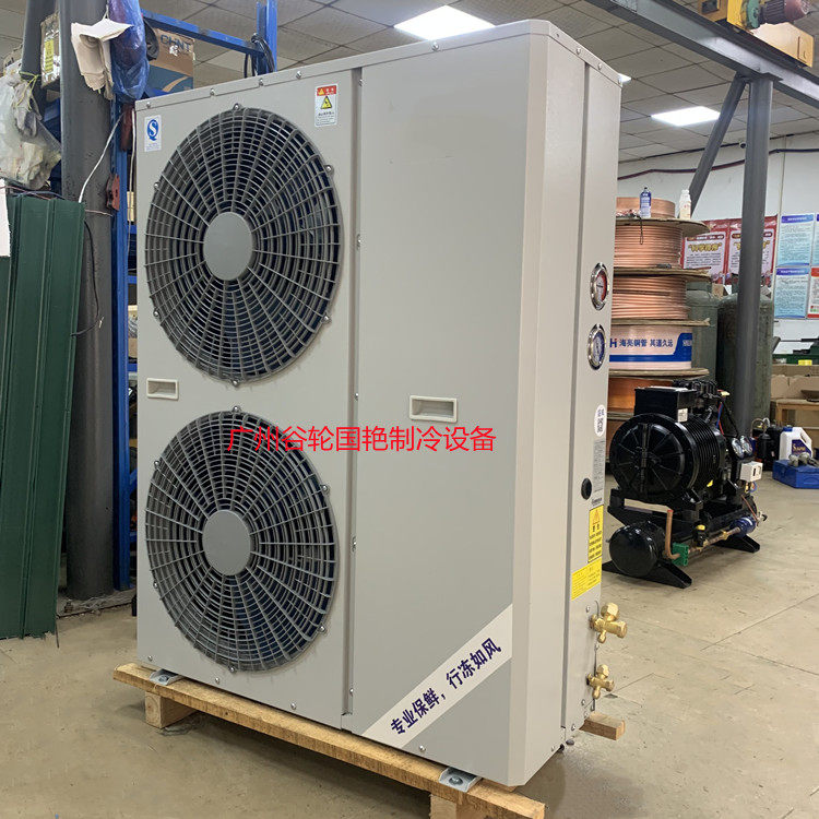 Small refreshing cold storage freezer group 5P Pickup storage integrated host air conditioning fruit and vegetable cold storage complete equipment