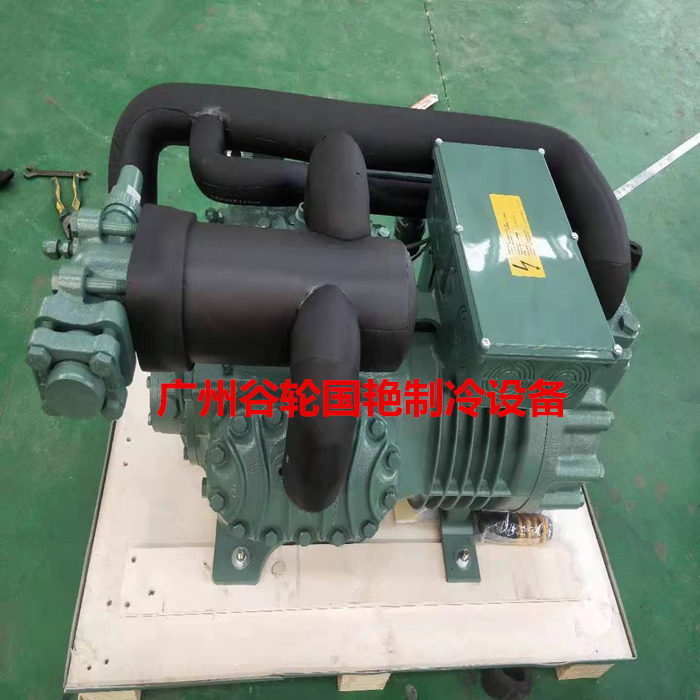 Bizer semi-closed double stage compressor 25HP Pickup refrigeration depot refrigeration low-temperature frozen piston crew complete equipment