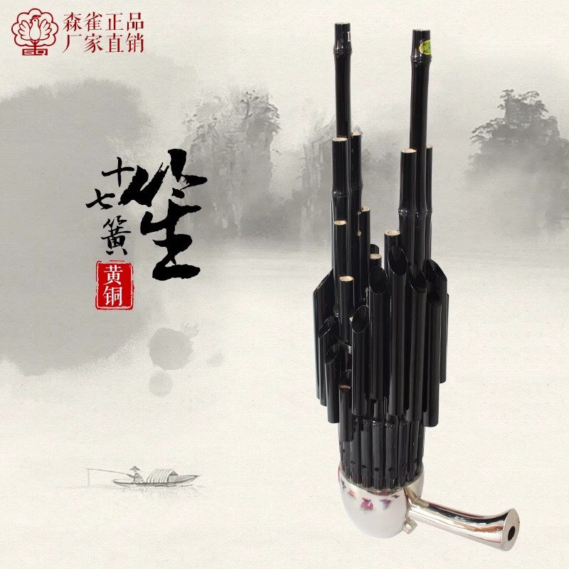 National musical instrument sheng guaranteed sound color sheng musical instrument professional playing 17 spring enlarged soundtrack sheng wumu sheng foot purple bamboo-Taobao