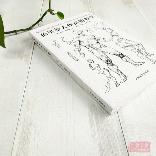 Человеческая структура Berryman.