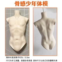 Кость -чувствительный к пленку подростка [верхняя часть тела]