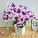 Bướm phong lan nghệ thuật trong chậu mô phỏng hoa khô trang trí nhà phòng khách trang trí bình hoa trang trí hộp gỗ đặt - Hoa nhân tạo / Cây / Trái cây