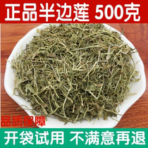 Chinese herbal medicine Chinese lobelia half chamomile 500g gold chamomile hay blow grass 