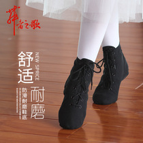 Jazz dance shoes soft bottom women dance shoes practice shoes adult yoga shoes ballet shoes men cat claw shoes Black