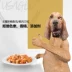 Gores Dog Snacks Thức ăn cho thú cưng Teddy Golden Hair Puppy Chicken ức khô Molar Canxi Trọng lượng 80g - Đồ ăn vặt cho chó