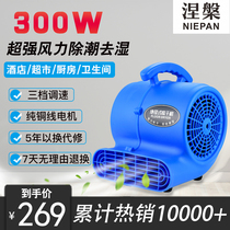 Nirvana Style Three-Gear Carpet Dehumidification Blow-drying Machine Commercial Hotel Toilet Ground Powerful Blow Ground Machine Home Hair Dryer