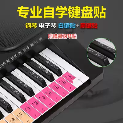 Piano 88 61 54 keyboard color tone sticker self-study beginner key sticker electronic piano tone position sticker