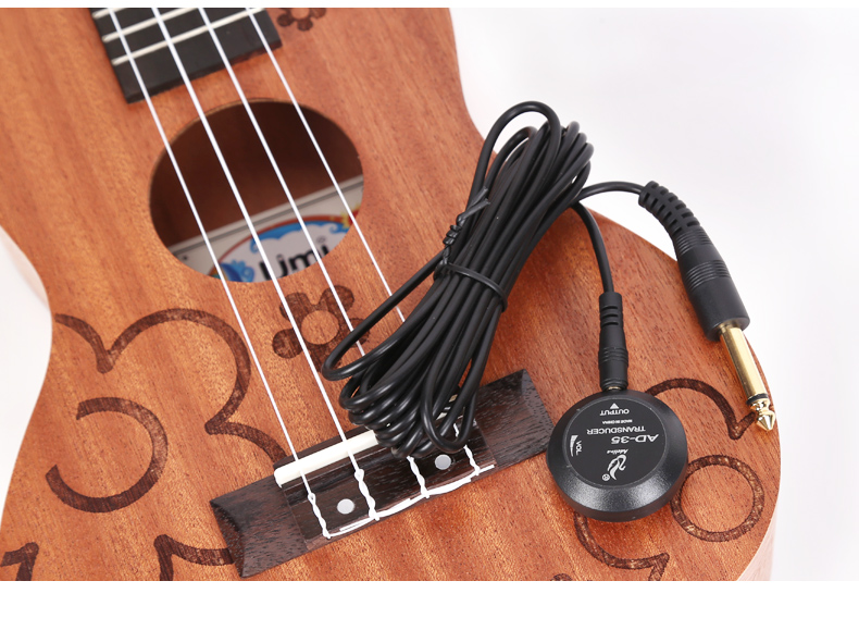 Ed Lynn AD-35 bán đàn guitar erhu ukulele 琵琶 đàn tam thập lục - Phụ kiện nhạc cụ hộp đựng đàn guitar