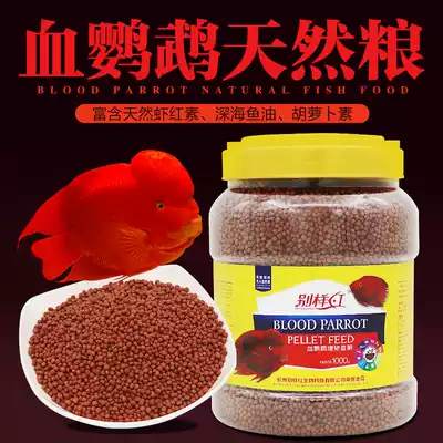 Blood parrot fish feed color increase red gold ingot wealth fish fortune fish fortune Fish Fish Fish Fish Fish Red Dragon large fish grain