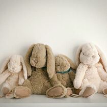 The original single M home Net red soft cute rabbit plush toy sleeping pillow baby comfort doll photo props