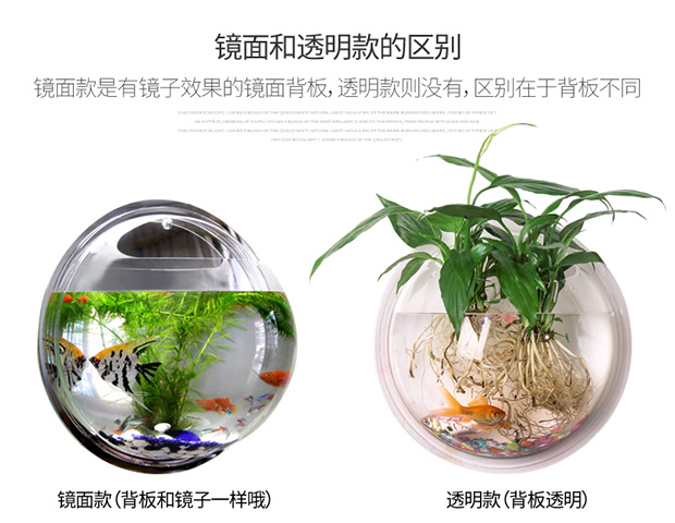 Treo tường nhỏ chậu hoa thủy canh sáng tạo trang trí tường treo tường treo tường bể cá bình trang sức tường hoa chậu tường - Vase / Bồn hoa & Kệ bình thủy tinh trồng cây