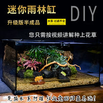 Rainforest tank Mini landscaping plant accessories package Turtle horned frog Land and water tank material Small feeding box Ecological tank