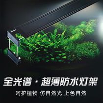 Spectrum lamp Water and land tank Water plant lamp Rainforest tank climbing pet tank Sun lamp LED full spectrum plant growth grass tank lamp
