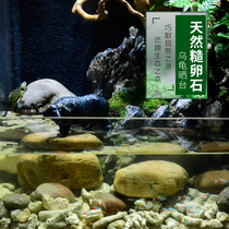 Boutique fish tank stone natural cobblestone microscape Rain flower stone amphibious cylinder undersand rainforest cylinder building materials