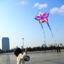 Long tail butterfly kite for children beginner novice small high grade adult breeze easy to fly kite Paper kite cute