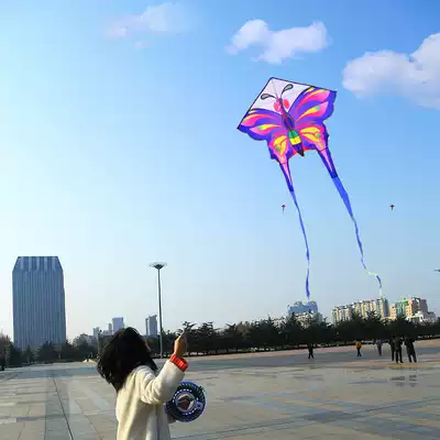 Long-tailed butterfly kite children Beginner Novice small high-end adult breeze easy flying kite paper kite cute