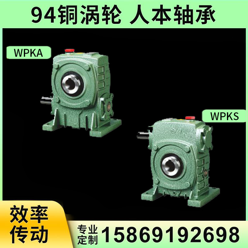 WPKA WPKS120 135 147 155 175 200 worm gear reducer transmission gearbox