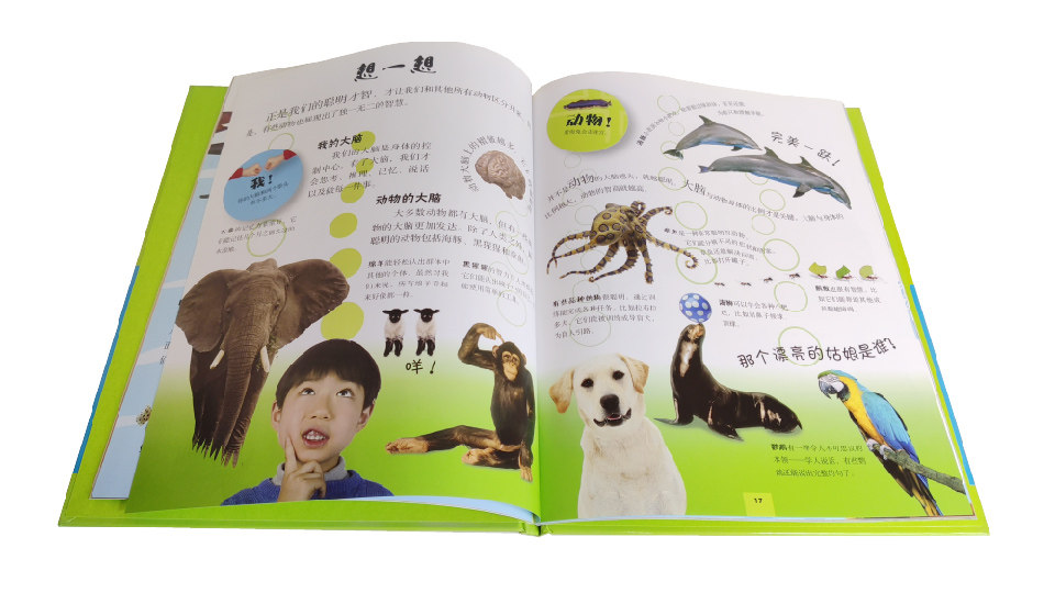 《DK少儿科普书系:恐龙与我+动物与我》 儿童百科全书2册组合套装 图8