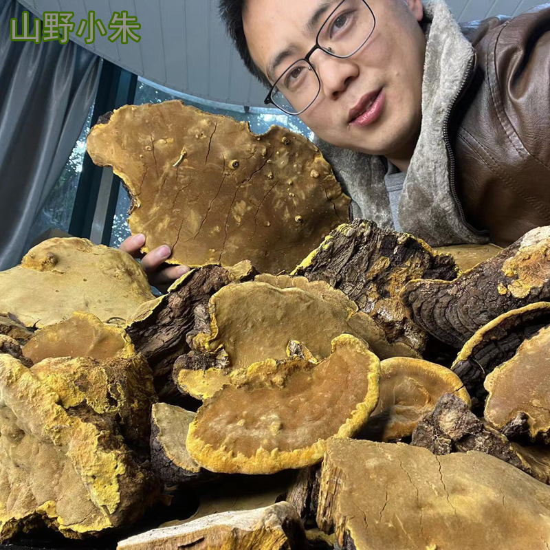 Tibetan wild mulberry tree mulberry yellow Grow small Zhu Zhenzong natural mulberry tree grows small mulberry yellow 1 pound 1200 yuan