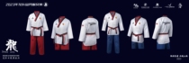 Section spéciale pour enfants spéciaux de léquipe de démonstration de taekwondo de léquipe chinoise de dragon