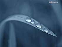 Qingshui Qingxin Polymer Hyaluronic Acid Deep Circulating Water Frost