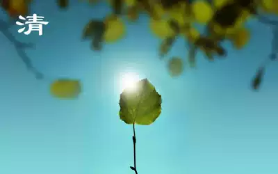 (Kampo Herb)Plant softening skin isolation anti-sun cream 50G oil-free physical sunscreen