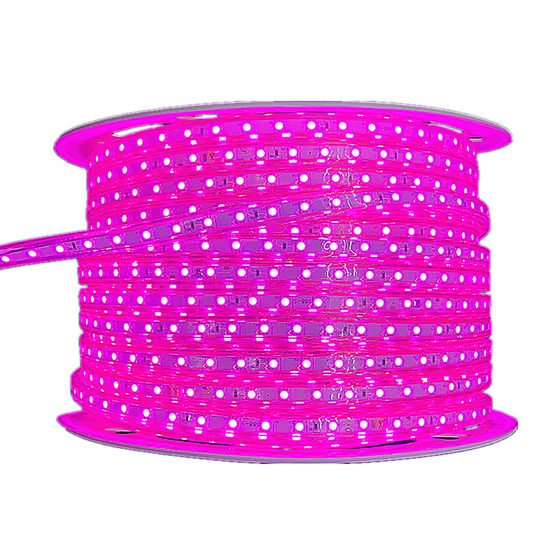 LED light strip pink light strip living room light strip pink LED light strip rose red pink purple exhibition hall light 220V