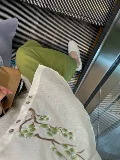嵎锛 鏂 鍏ヨ 侊 紒 紒 锛佸 澶 ╃ 殑褰 壊瑁椤 瓙 锛屽 瓙 锛屽 壊瑁椤 瓙 锛屽 壊瑁椤 锛屽 鏉 鏉 瑗 瑗  綖绾 壊绠绾 鍗 婅 婅 婅   婅 婅 婅 婅 婅 婅 婅 婅 婅 婅 婅 婅 婅 婅 婅 婅 婅 婅 婅