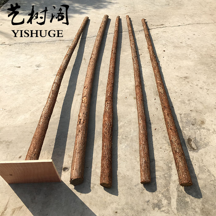 Custom wedding props special tree trunk cedar trunk debark stump stump white tree pole true trunk wooden pier pine wood