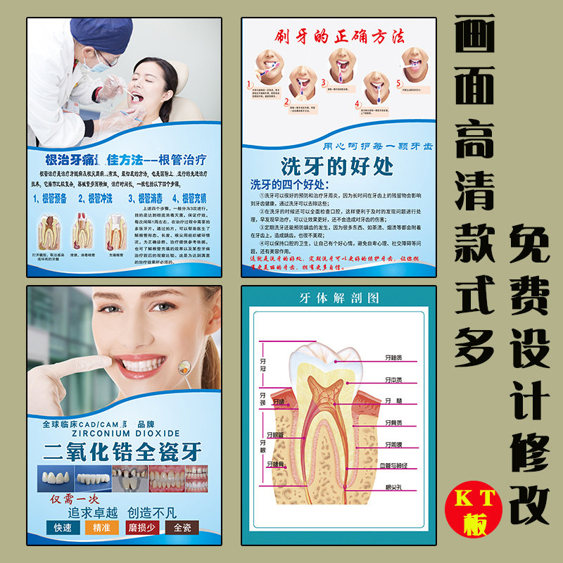 Dental wall chart tooth anatomy diagram oral propaganda decorative painting tooth extraction cleaning tooth correction clinic all-ceramic tooth advertising painting