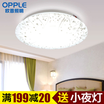 OP lighting LED ceiling lamp Bedroom lamp Warm romantic bedroom lamp Simple modern creative lamp Fireworks grass