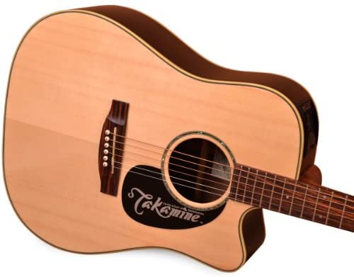 TAKAMINE TAKAMINI D4D D4D ED5DC ED26SC ED26SC ABSOLUTE FOLK MUSIC BOX Guitar June Spot