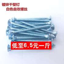 5 catty bulk galvanized high-intensity self-tapping nail dry wall nail cross countersunk woodworking screw plasterboard screw