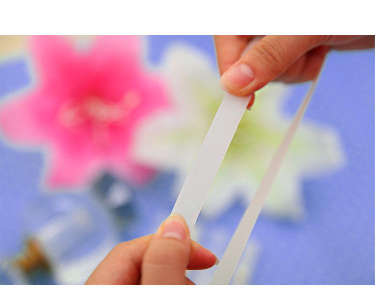 Sangles pour lingerie - Ref 806728 Image 17