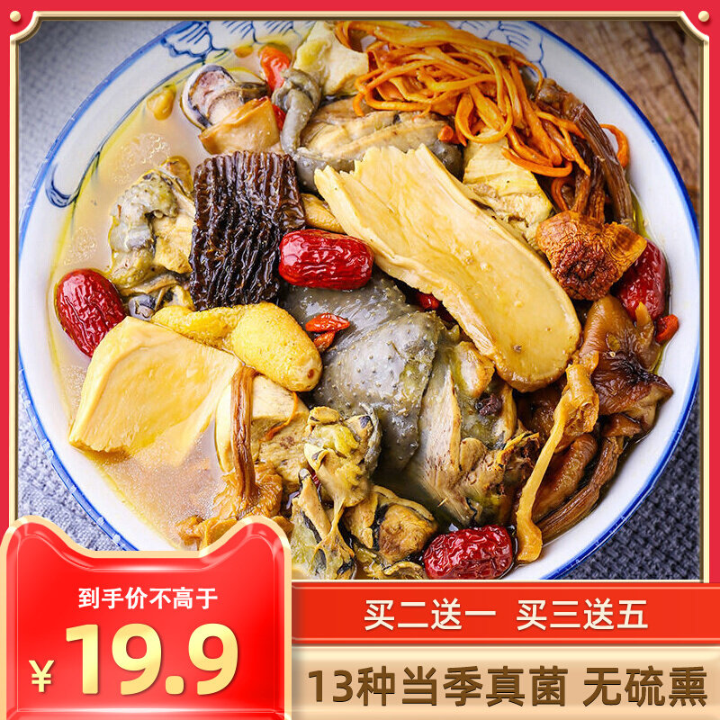 Pot Soup Ingredients Fungus dry stock Chicken Oil Fungus caterpillar fungus Yunnan Seven colorful bacteria soup ladle stock 100 gr Undersea nutrition children